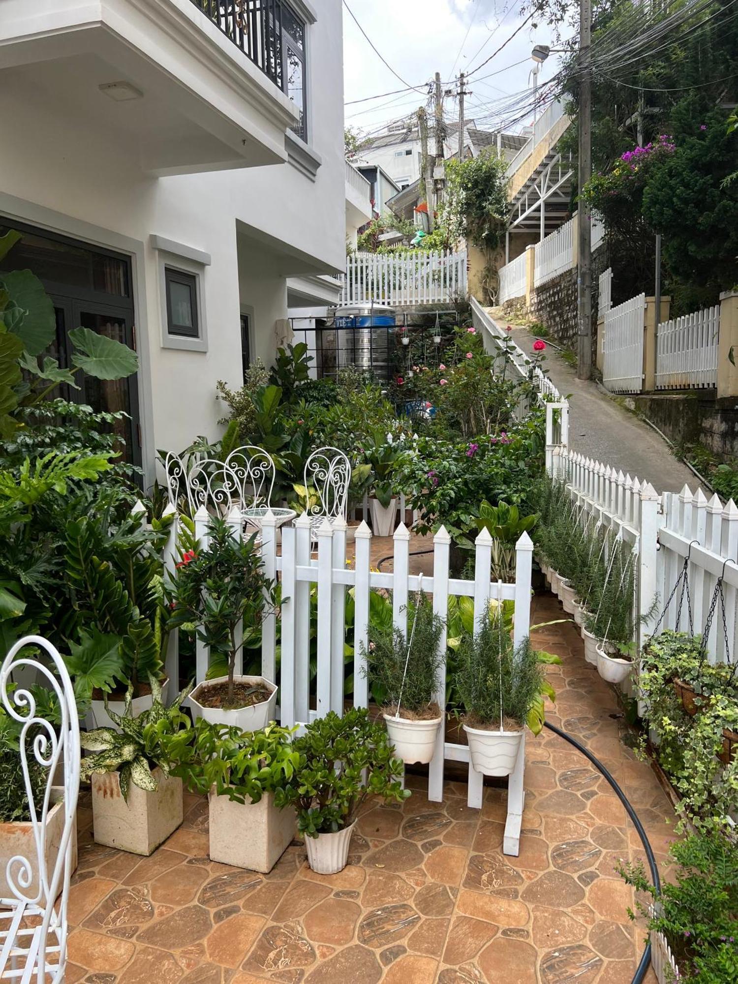 Hera Boutique Hotel Νταλάτ Εξωτερικό φωτογραφία